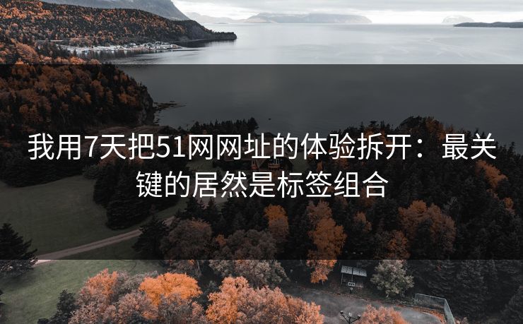 我用7天把51网网址的体验拆开：最关键的居然是标签组合