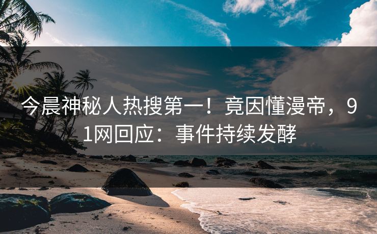今晨神秘人热搜第一！竟因懂漫帝，91网回应：事件持续发酵