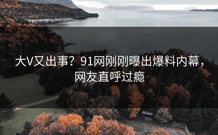 大V又出事？91网刚刚曝出爆料内幕，网友直呼过瘾